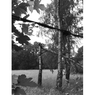 foto14677211971.jpg