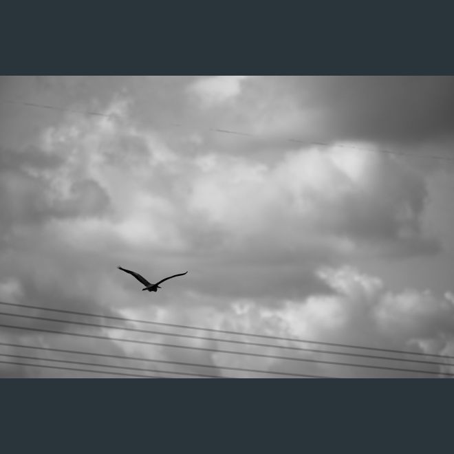 CP8_2563