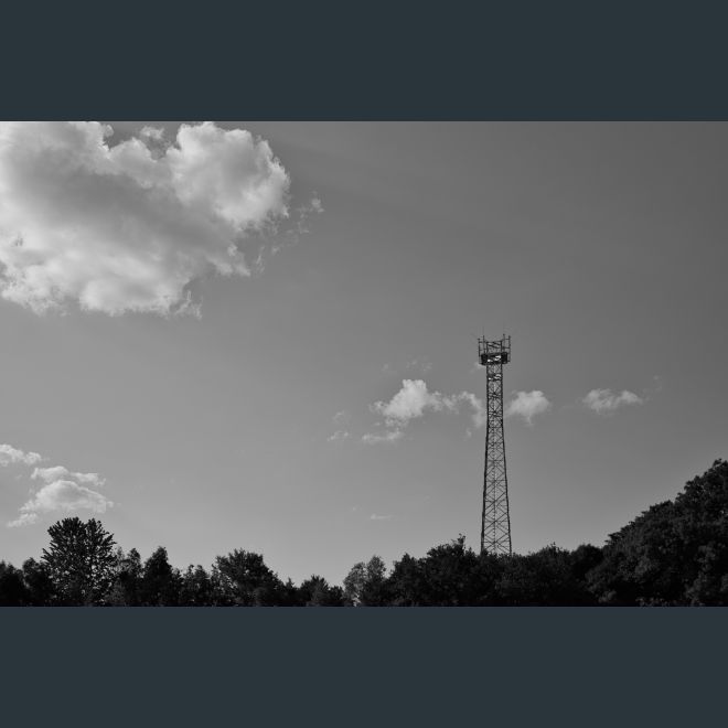CP8_3318