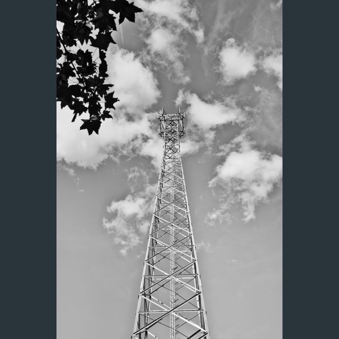 CP8_3323