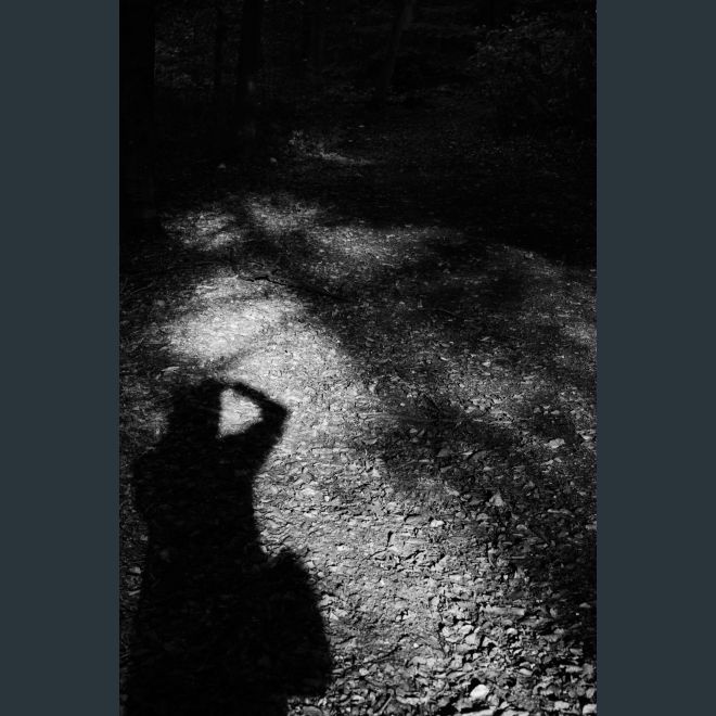 CP8_4203