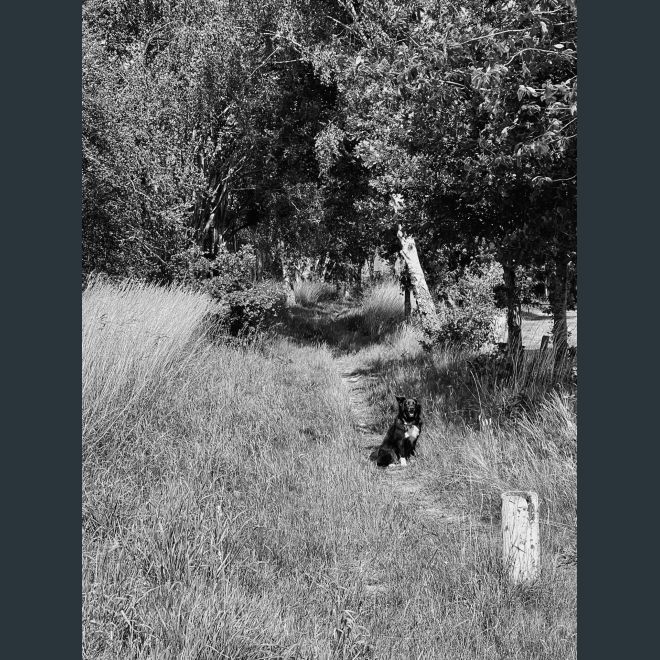 foto1657046968