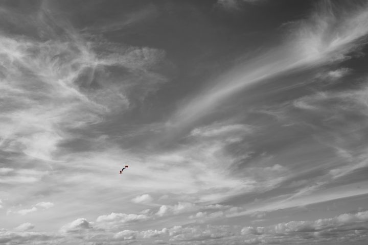 CP8_4472