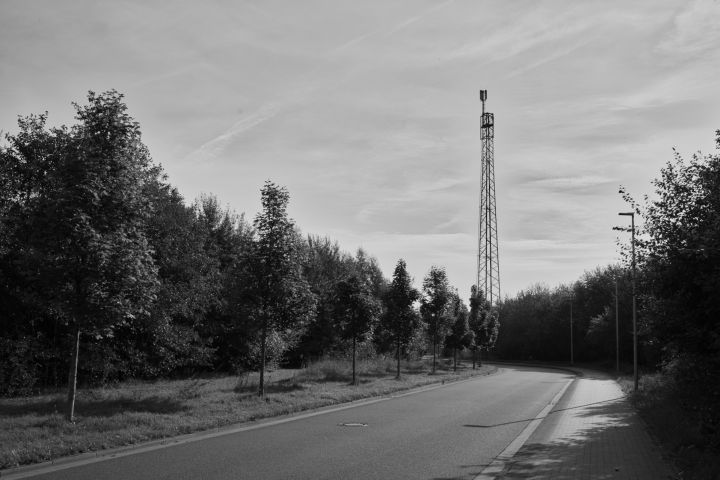 CP8_4538