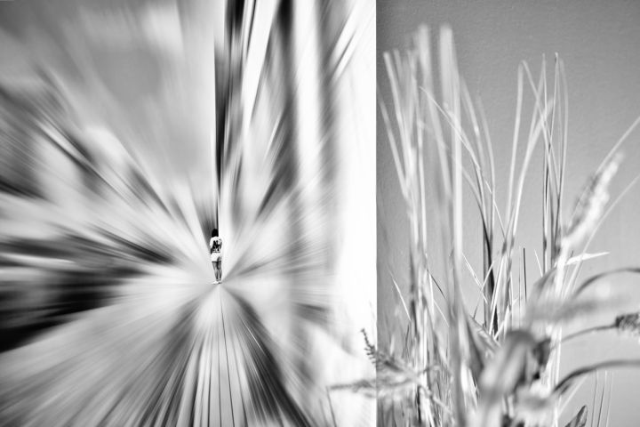 CP8_4546
