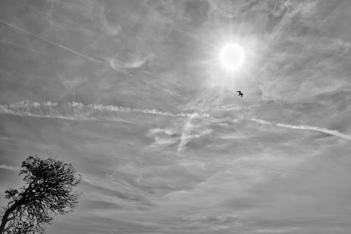 CP8_4567
