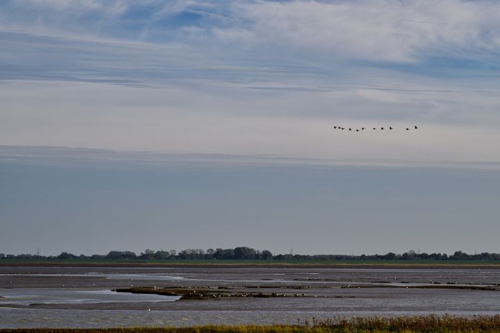 CP8_4808
