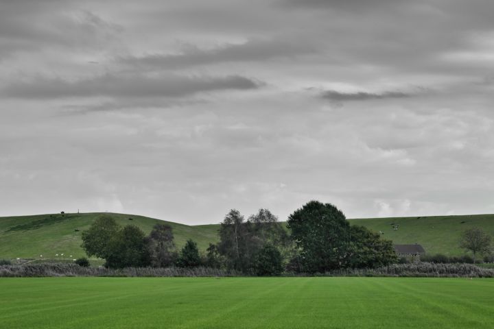CP8_4848