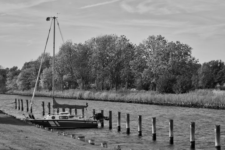 CP8_4974